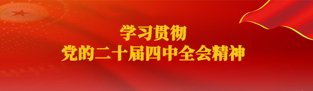 进建贯彻党的二十届四中全会心灵