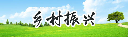 6731顶级游戏·(中国区)官方网站